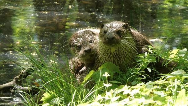 Bild 1 von 5: 