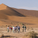 Zu Gast im Süden Afrikas