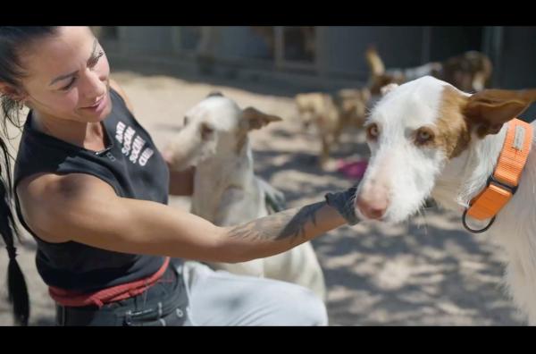 Bild 1 von 5: Ana arbeitet im Tierheim ?SOS Podenco Rescue? in der spanischen Region Valencia. Der Hund wurde aus einem Elendszwinger gerettet.