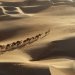 Verborgen im Sand - Geheimnisse der Vergangenheit