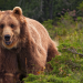 natur exclusiv