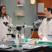 The Big Bang Theory