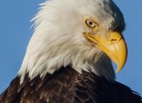 Amerikas Naturwunder: Der Zauber des Westens