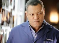 CSI: Den Tätern auf der Spur