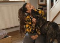 Dein perfekter Hund