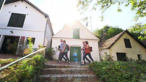 Bild 1 von 4: Die Freiheit zu gehen - Weitwandern in Niederösterreich