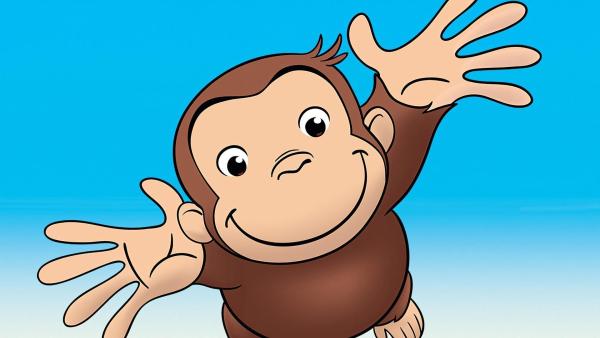 Bild 1 von 4: Coco, der neugierige Affe