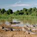 Das Pantanal