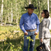 Yellowstone