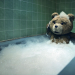 Ted