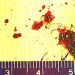 Medical Detectives - Geheimnisse der Gerichtsmedizin