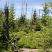 natur exclusiv