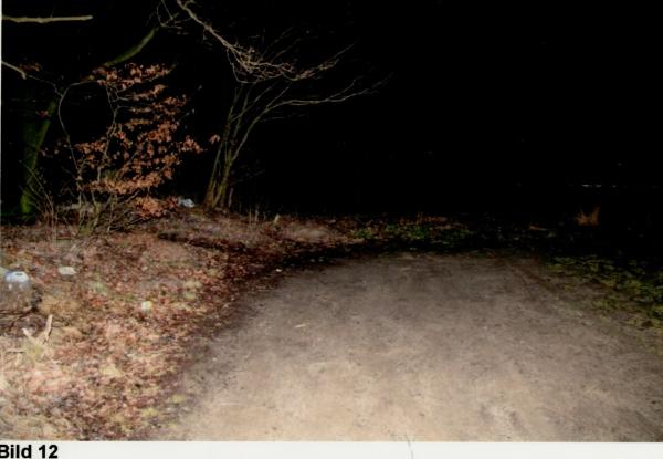 Bild 1 von 3: In diesem Waldstück wird in einer Februarnacht die brennende Leiche einer jungen Frau entdeckt. Die Spurensicherung gestaltet sich kompliziert.