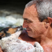 Die geheime Welt der Hunde