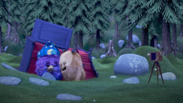 Bild 1 von 5: Kiwi und Strit machen zusammen ein schläfriges Foto.