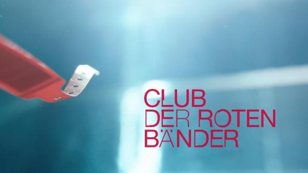 Bild 1 von 23: 