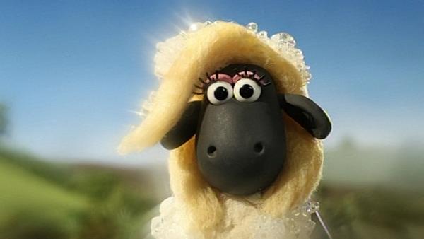 Bild 1 von 6: Da muss Shaun zweimal hinsehen. Aus dem Schaumbad steigt ein wunderschönes Schaf.