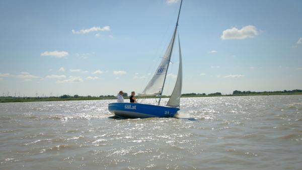 Bild 1 von 7: Im Bild: Segelboot am Neusiedlersee.