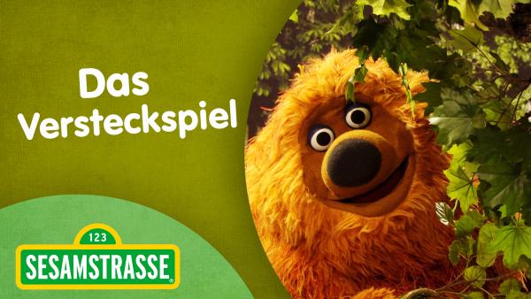 Bild 1 von 2: Samson versteckt sich.