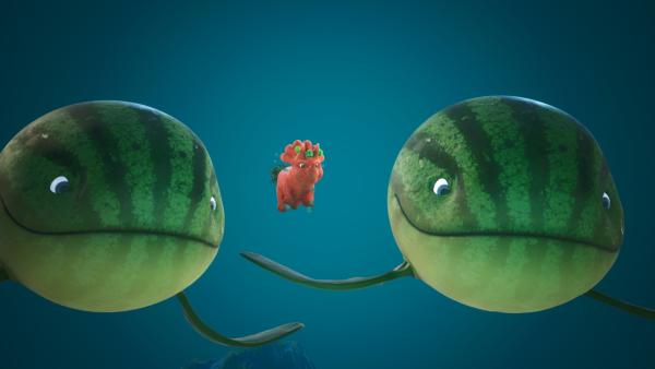 Bild 1 von 6: Neben den Melonensuchus wirkt Ginger winzig klein.