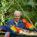 Das Leben in Farbe mit David Attenborough