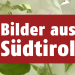 Bilder aus Südtirol