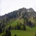 Spuren im Stein - Das Allgäu
