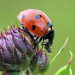 Sommerwelten