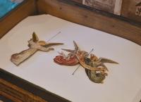 Unter unserem Himmel