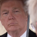 Die Trump-Methode - Ein Golfplatz gegen alle
