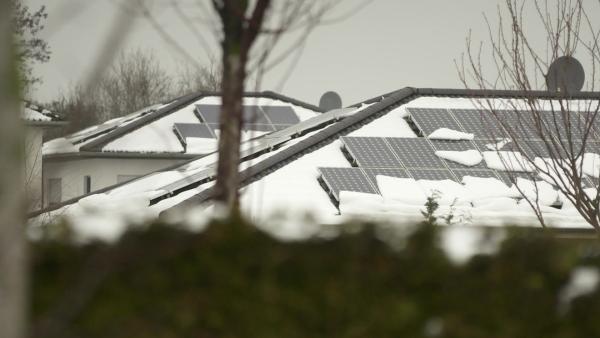 Bild 1 von 3: Das Schweizer Unternehmen Meyer Burger möchte die Solarindustrie in Deutschland wieder groß machen: In ihrer größten Solarmodulanlage bauen 20 Roboter mehr als 5000 Module am Tag.