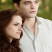 Breaking Dawn - Biss zum Ende der Nacht: Teil 2