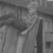 Die Schmitts vom Perlacher Forst (1959)