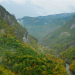 Abenteuer Wildnis