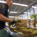 Border Patrol Canada - Einsatz an der Grenze
