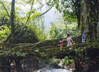 Unser grüner Planet