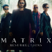 Matrix Resurrections
