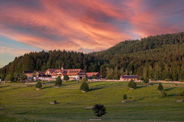 Bild 1 von 8: Im Bild: Hof Gut Aiderbichl, Henndorf.