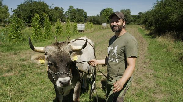 Bild 1 von 2: Claus Kropp, Archäologe und Leiter Freilichtlabor Lauresham.