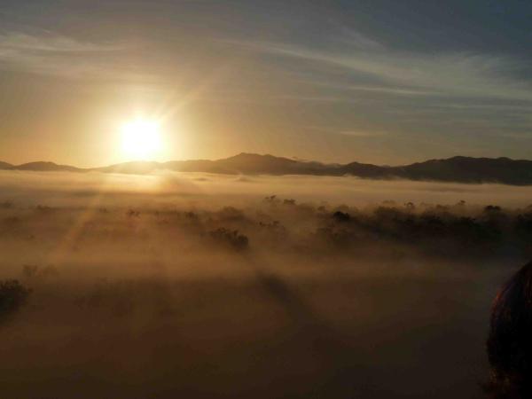 Bild 1 von 9: Sonnenaufgang auf den Atherton Tablelands in Nordqueensland/Australien, der Heimat der Baumkängurus.