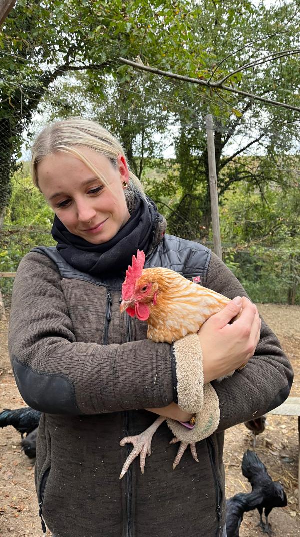 Bild 1 von 7: Shanna wird bei der Arbeit im Hühnergehege von kleinen Helfern unterstützt.
