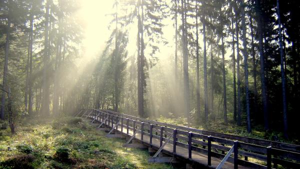 Bild 1 von 6: .