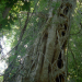 Beeindruckende Tierwelt