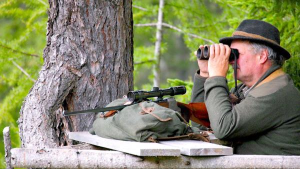 Bild 1 von 12: Im Bild: Jager auf der Pirsch.