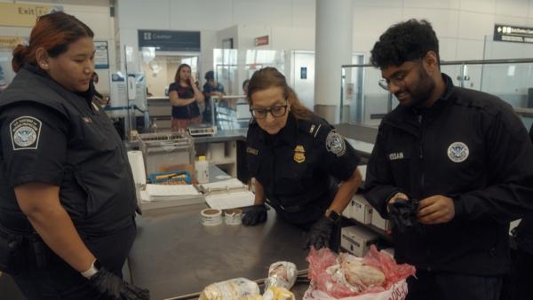 Bild 1 von 3: Bei der Ankunft einer Passagiermaschine aus Ägypten finden die Sicherheitsbeamten ein Dutzend ungekühltes Taubenfleisch - ein Nährboden für gefährliche Bakterien.