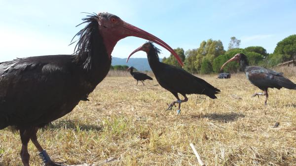 Bild 1 von 4: .