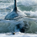 Unter dem Meer