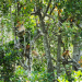 Bild 18