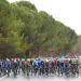 Radsport