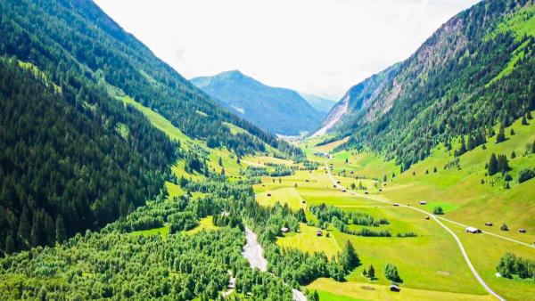Bild 1 von 2: .